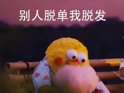 在5月28日一年一度的“爱发日”