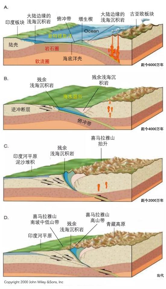 喜马拉雅山脉演化过程示意图 从B到C,蓝色填充表示的残余浅海沉积岩发生变形、缩短和抬升,从低海拔处抬升至高海拔处。出处见图。