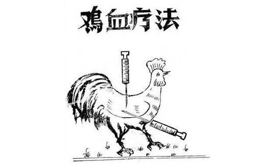 盛极一时的鸡血疗法