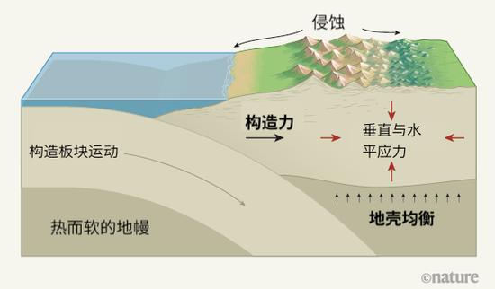 图1|控制板块交汇边界附近山峰高度的过程。三个主要过程控制着山峰的高度:对山脉形成侧向支撑的构造力——阻止山脉在自重作用下塌陷或构成与重力相反的推力;气候控制下的侵蚀;使山脉在热而软的地幔物质上漂浮的地壳均衡过程。对于俯冲带(一个构造板块俯冲到另一块之下形成断层的区域)附近的山脉,主要的构造力来自断层。通过假定在这样的山脉之下的水平应力和垂直应力相等,Dielforder等人估计了在几个位置可以被构造力支撑的山脉高度。估计的高度与观测到的高度十分相似,从而表明这些高度是受制于构造力而非侵蚀。在距离俯冲带较远的许多山脉是否同样如此,还有待观察。