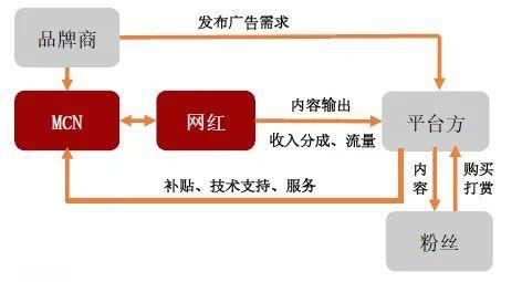 MCN机构运作方式