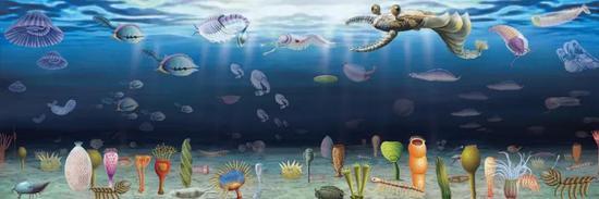 寒武纪澄江生物群(图片来源:南京古生物所)