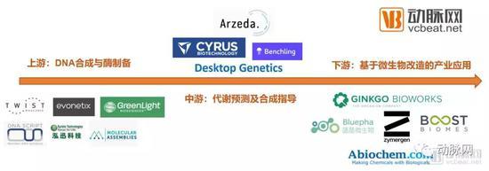 合成生物学上下游产业链