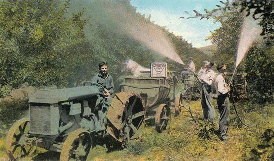 1900年代初 正在给果树喷洒砷酸铅的美国人