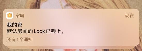 ▲ 每次操作门锁,HomeKit 都会弹出提醒