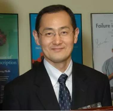 山中伸弥(图源:Wikipedia)