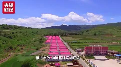 记者平凡:针对这些投资项目的落地,具体将采取哪些措施?