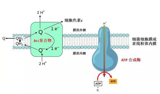 (图片来源:作者提供 )
