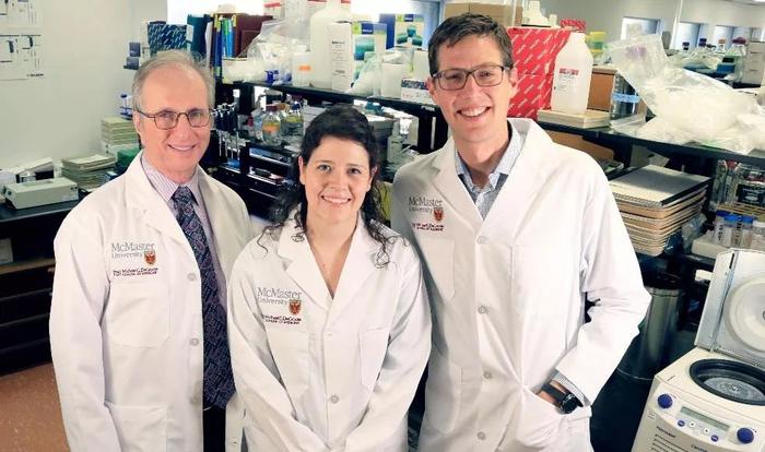 ▲ 左到右:Hertzel Gerstein,Emily Day,Gregory Steinberg(图源:McMaster University)