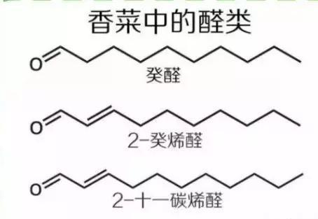 香菜中的醛类物质 (图片来自于网络)