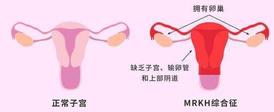 (来源:DT君)