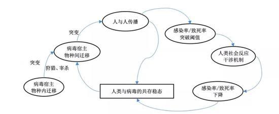 人类与病毒的相处