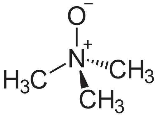 TMAO的化学式 来源:https://zh.wikipedia.org/wiki/%E6%B0%A7%E5%8C%96%E4%B8%89%E7%94%B2%E8%83%BA