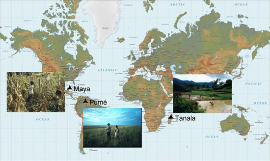 玛雅人,Pumé人,和塔纳拉人所在地 | sites.fas.harvard.edu