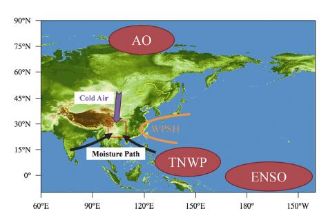 可能影响中国西南部地区干旱形成的重要候选区示意图。黄线代表中国的边界,而红色方框表示中国西南部地区。TNWP代表热带西北太平洋,ENSO、WPSH和AO代表厄尔尼诺-南方涛动、西太平洋副热带高压和北极振荡。(图片来源:参考文献2)