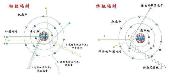 图7 (上)左:韧致辐射;右:特征辐射