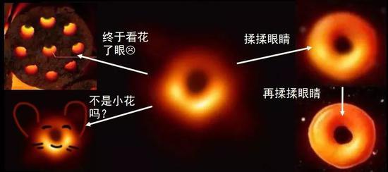 来源:张双南提供