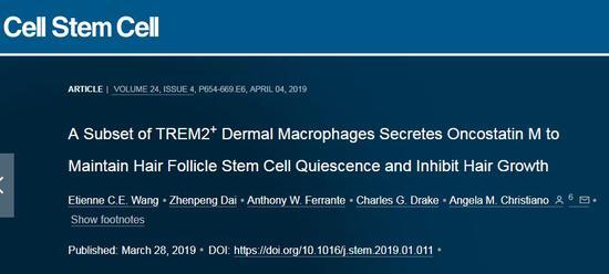 https://doi.org/10.1016/j.stem.2019.01.011