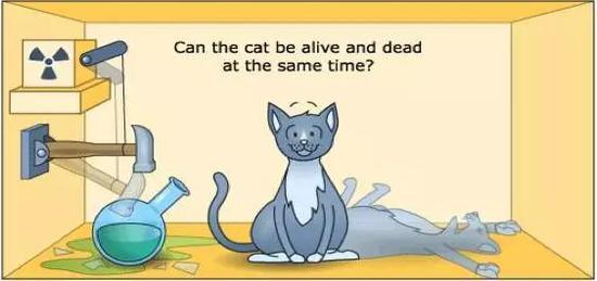 图15 :如何把一只可爱的猫,变成一只薛定谔猫