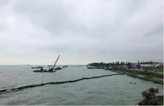 来源:中新网
