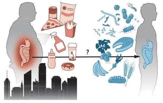 工业化对人体微生物的影响(图片来源:KELLIE HOLOSKI/SCIENCE, 8)