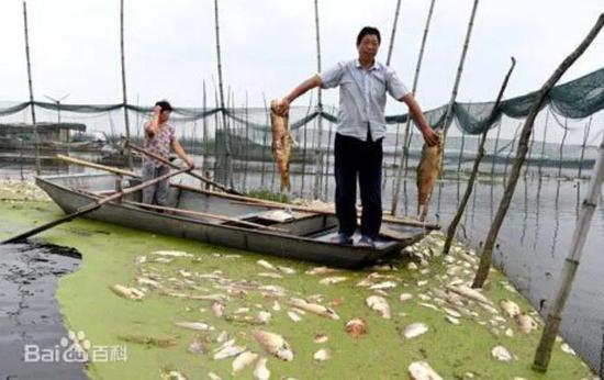 6·27沱湖污染事件导致养殖业受损(来源:百度百科)