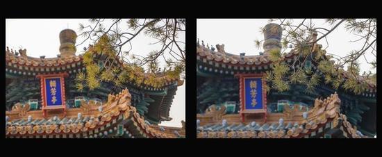 JPG直出色彩对比(左佳能右索尼)
