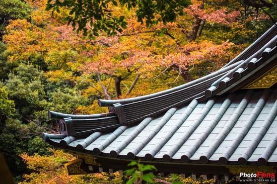 Canon Eos 5D III,EF 70-300mm f/4-5.6L IS USM,F4.5,1/400秒,ISO640