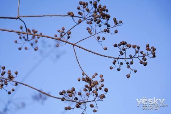 ISO100,F4.5,1/800s,89mm