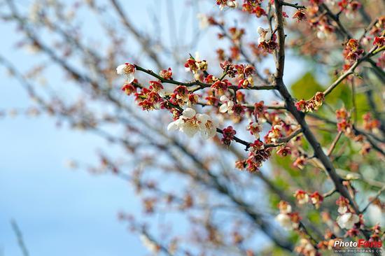 镜头: SEL24105G 焦距:104mm ISO:100 光圈:F9 快门:1/250s