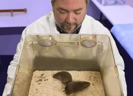 神经生物学的学者拉里·杨。图片由拉里·杨本人提供