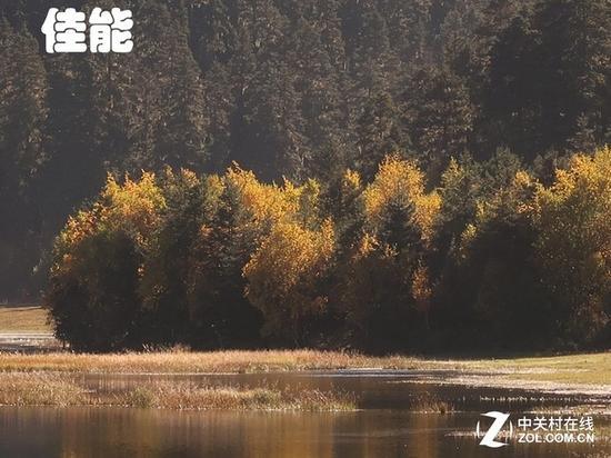 佳能70mm100%区域截图