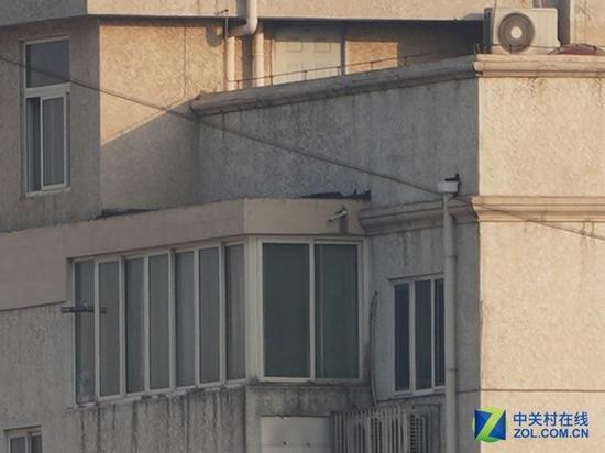 索尼A9锐度展示(400mm)