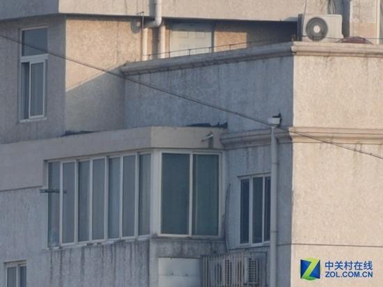 尼康D5锐度展示(400mm)