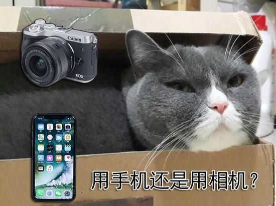 喵星人都是盒子精