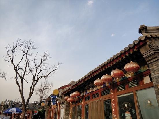 室外样张