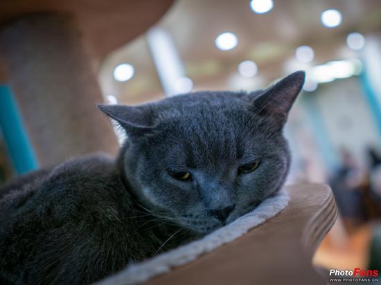 相机:奥林巴斯E-M1 Mark II镜头:适马16mm f/1.4 DC DN