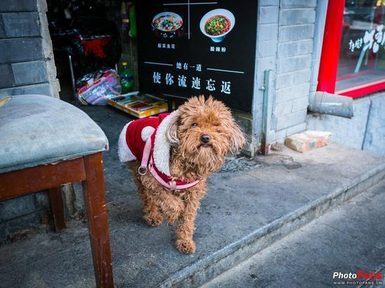相机:奥林巴斯E-M1 Mark II镜头:适马16mm f/1.4 DC DN