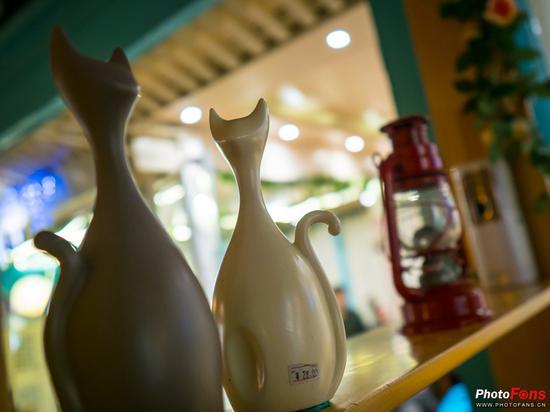 相机:奥林巴斯E-M1 Mark II镜头:适马16mm f/1.4 DC DN