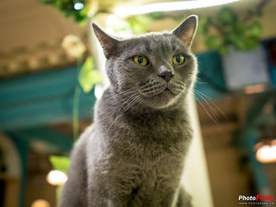 相机:奥林巴斯E-M1 Mark II镜头:适马16mm f/1.4 DC DN
