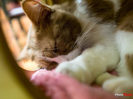 相机:奥林巴斯E-M1 Mark II镜头:适马16mm f/1.4 DC DN