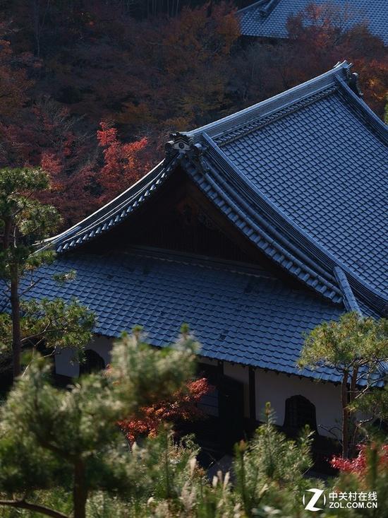 富士GF 110mm F2 R LM WR风光样张