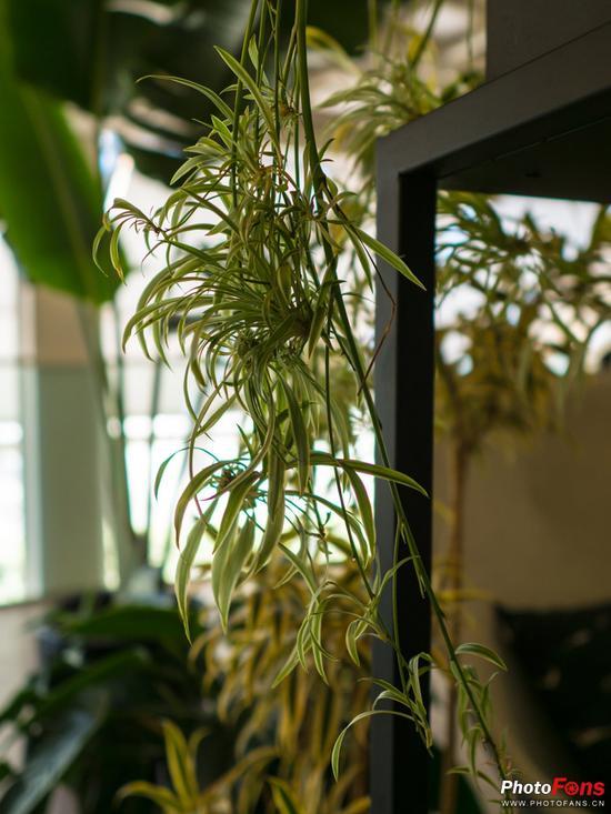相机:奥林巴斯E-M1 Mark II镜头:适马16mm f/1.4 DC DN