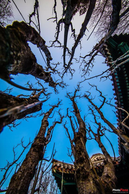 Canon EOS-1DX Mark II,EF 11-24mm f/4 L USM,F4,1/1600秒,ISO640