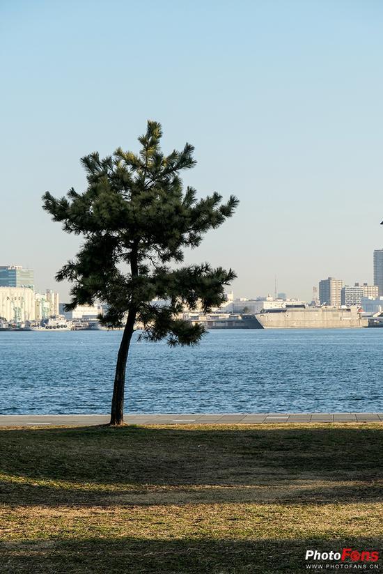 焦段:131mm 快门速度:1/250s 光圈:F5.6 感光度:ISO125