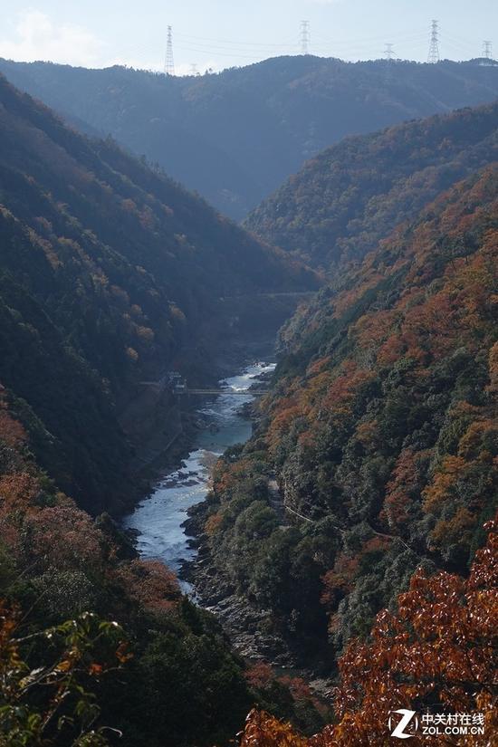 索尼RX100M4实拍样张(70mm)