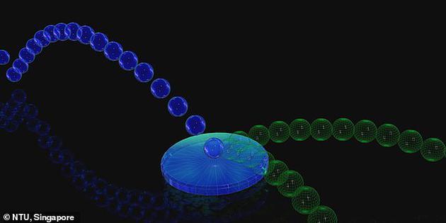 不同于经典粒子,量子粒子可以作为“量子叠加态”、同时朝多个方向移动。科学家Mile Gu和格里菲斯大学的研究人员利用这一现象,打造了一台能够生成由多种未来构成的叠加态的量子计算机。