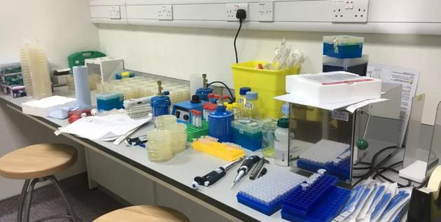 每个微生物人都烂熟于心的场景……供图:作者