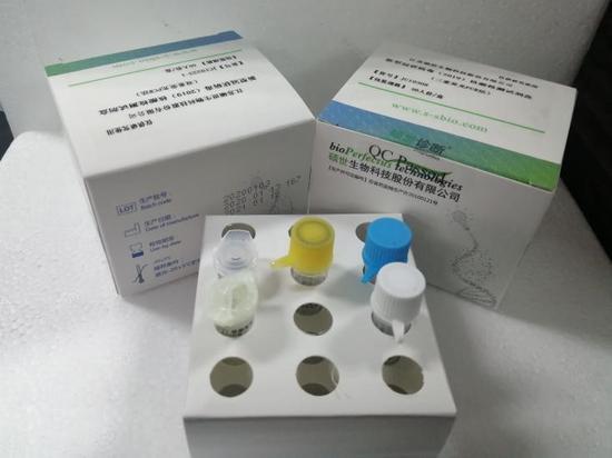 新型冠状病毒(2019)核酸检测试剂盒