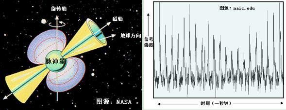 图4:左为脉冲星的结构。黄色椎体是射电信号发射的方向。图片来源于美国国家航空航天局。右为观测到的脉冲信号,来自naic.edu。